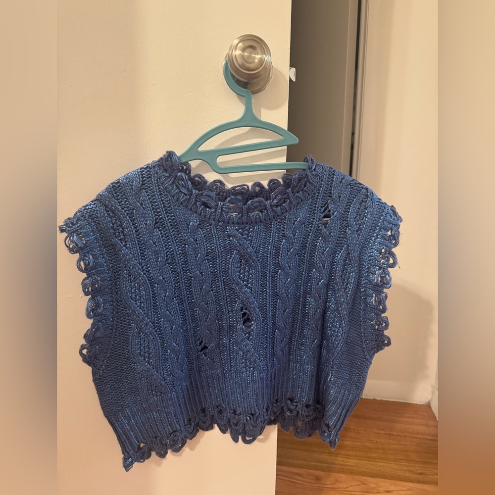 ZARA Blue Metallic Cropped Sweater